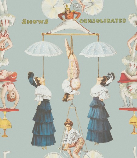 Picture of The Great Show Blue - WP20003