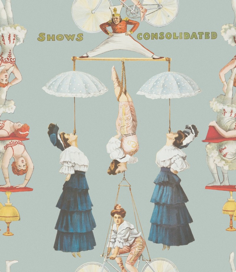 Picture of The Great Show Blue - WP20003