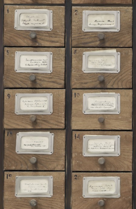 Picture of Apothecary Neutral - WP20264