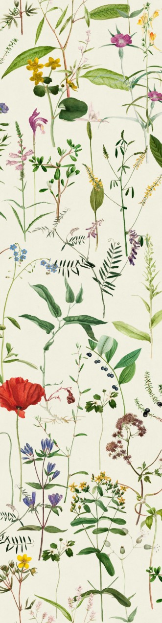 Bild på Aquafleur - WP20175