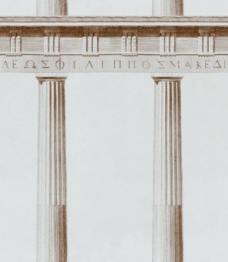 Picture of Athena - WP20211