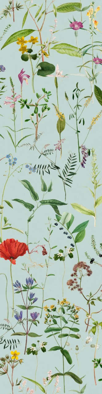 Bild på Aquafleur Aquamarine - WP20174