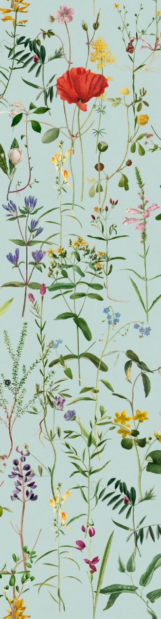 Bild på Aquafleur Aquamarine - WP20174