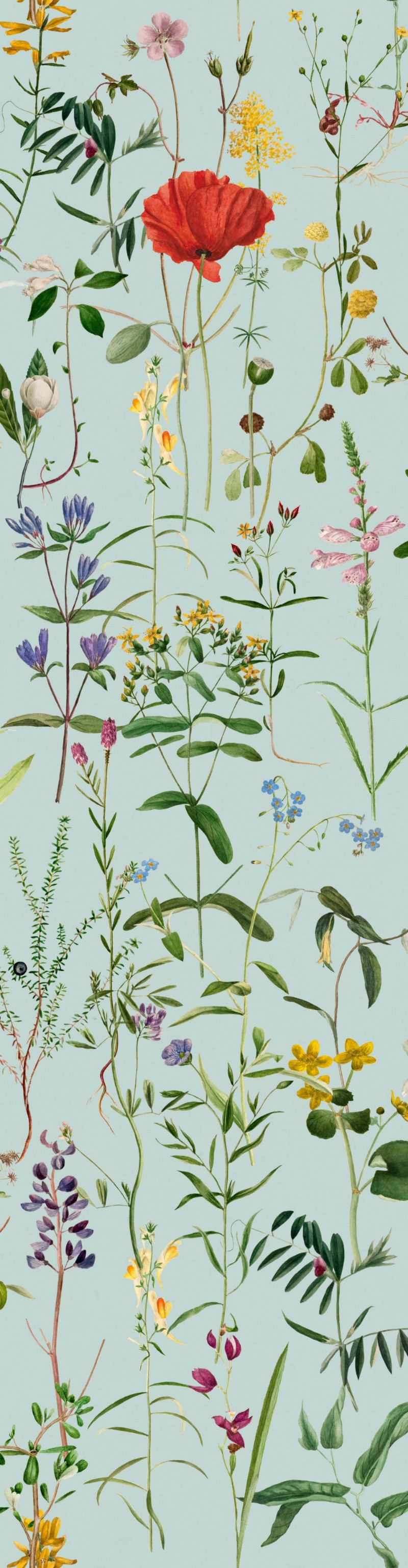 Picture of Aquafleur Aquamarine - WP20174