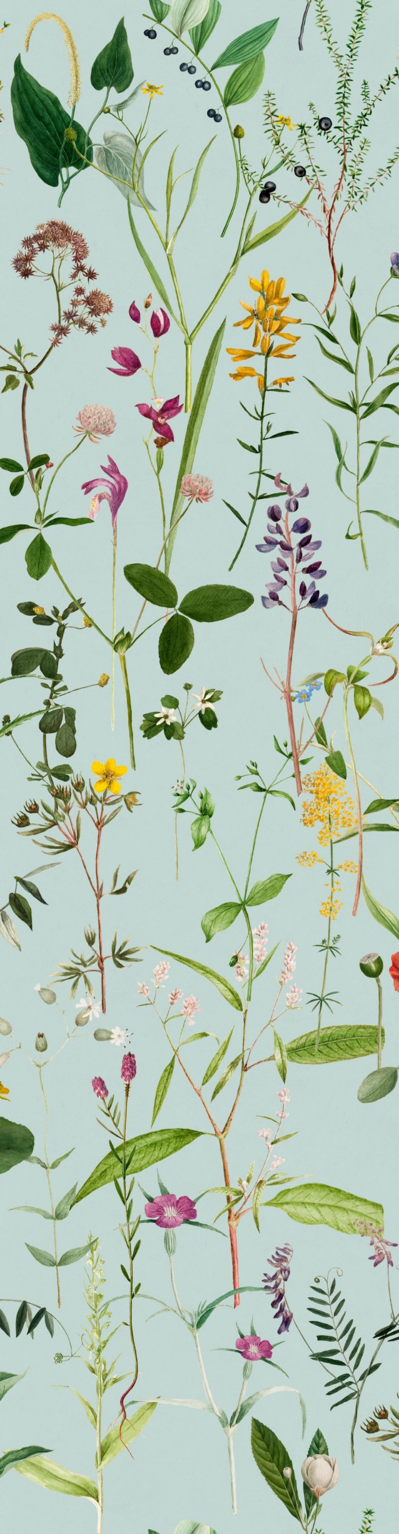 Picture of Aquafleur Aquamarine - WP20174