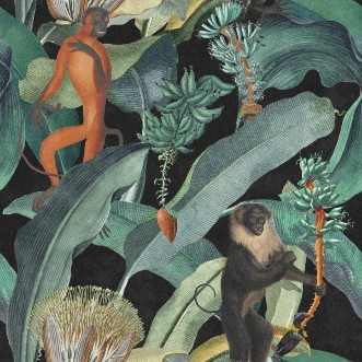 Bild på Bermuda - WP20162