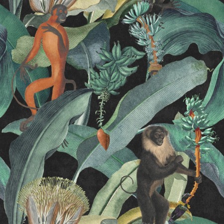 Bild på Bermuda - WP20162