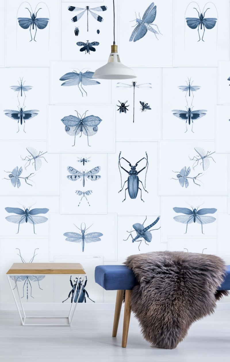 Picture of Entomology Blue - WP20235