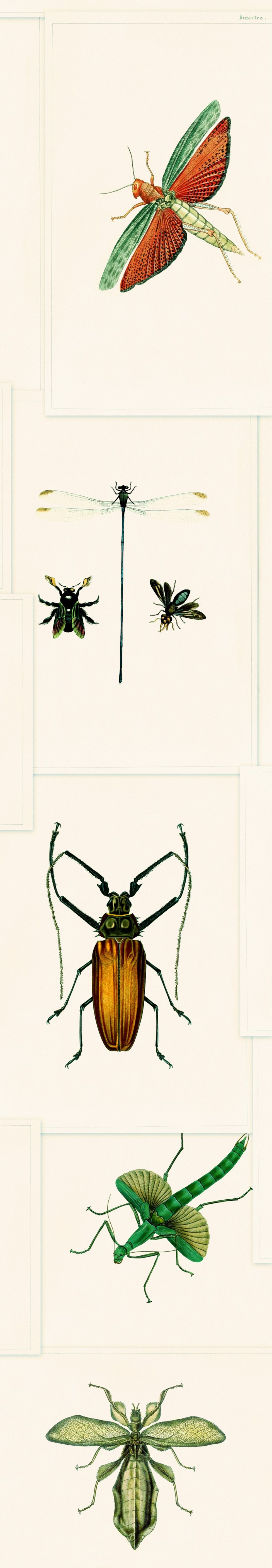 Picture of Entomology Green - WP20234