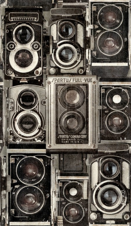 Picture of Obscure - WP20239