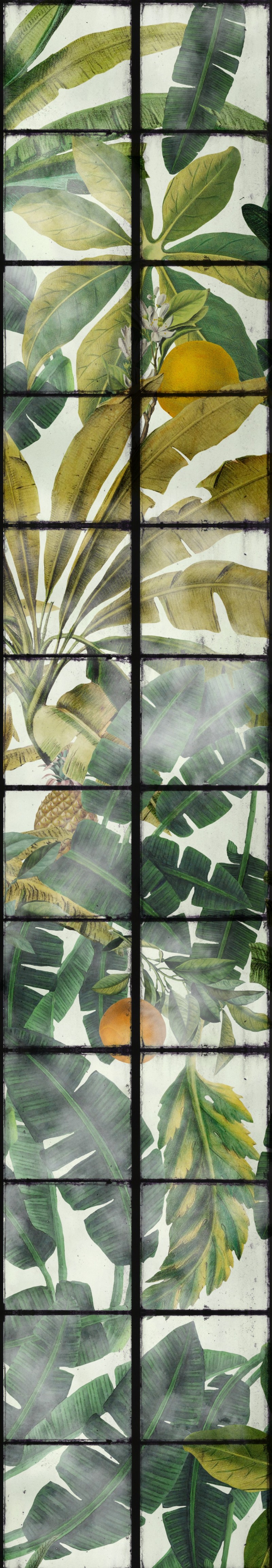 Picture of Orangerie - WP20176