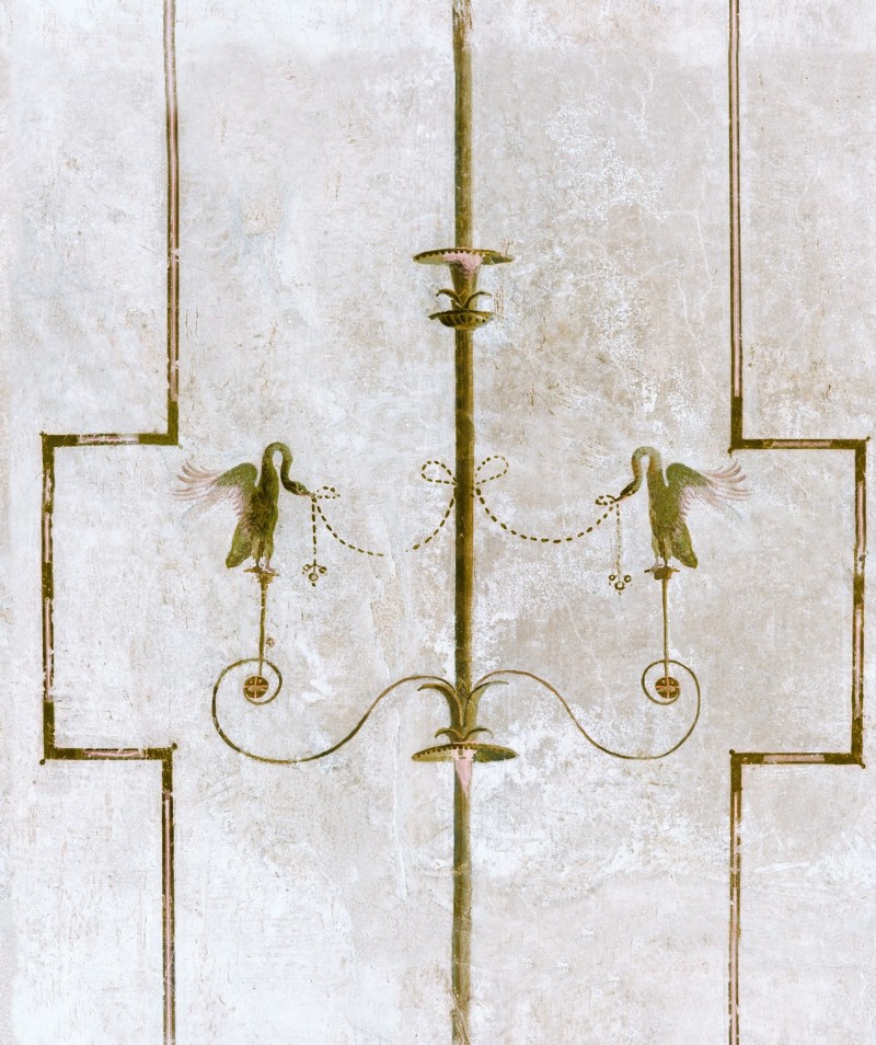 Picture of The Swan - WP20199