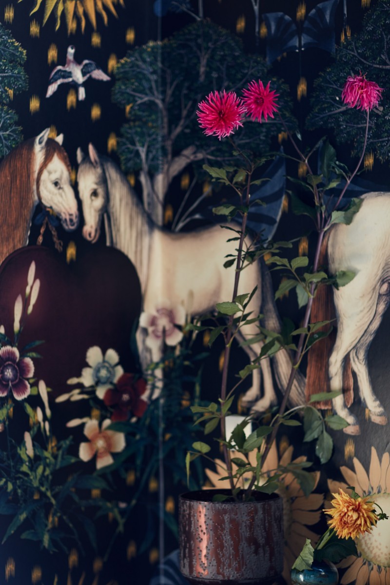 Bild på Mirage Dark - WP20623