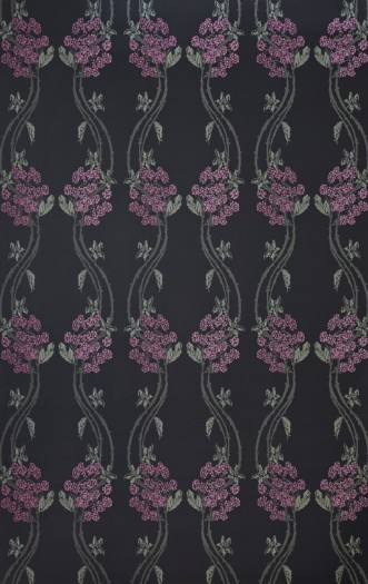 Image de Autumn Berry - Blackberry - BG1100201