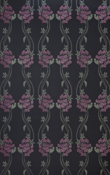 Image de Autumn Berry - Blackberry - BG1100201