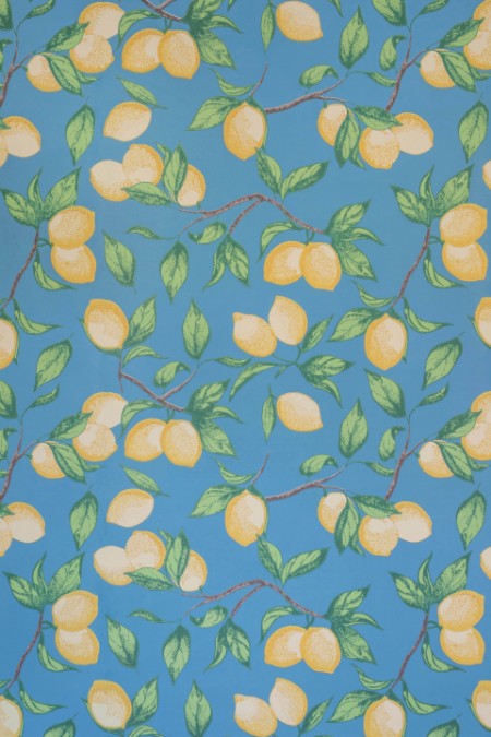 Image de Capri Lemons - Azure Blue - BG2300101