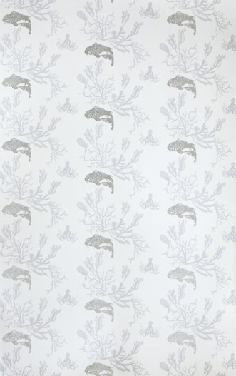 Image de Coral - Pale Grey/Silver - BG0900202