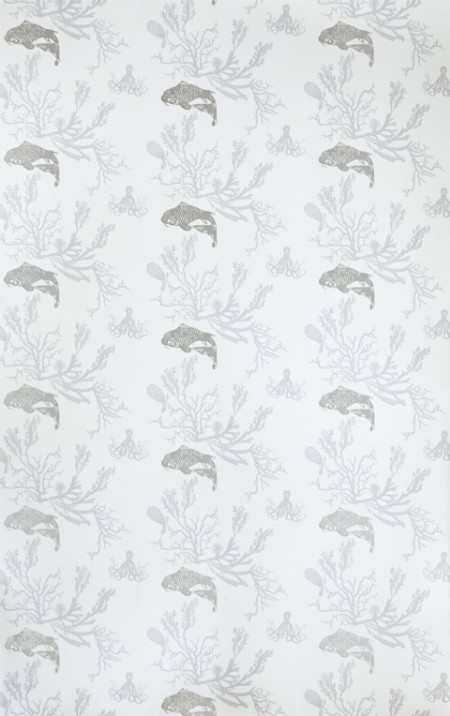 Image de Coral - Pale Grey/Silver - BG0900202