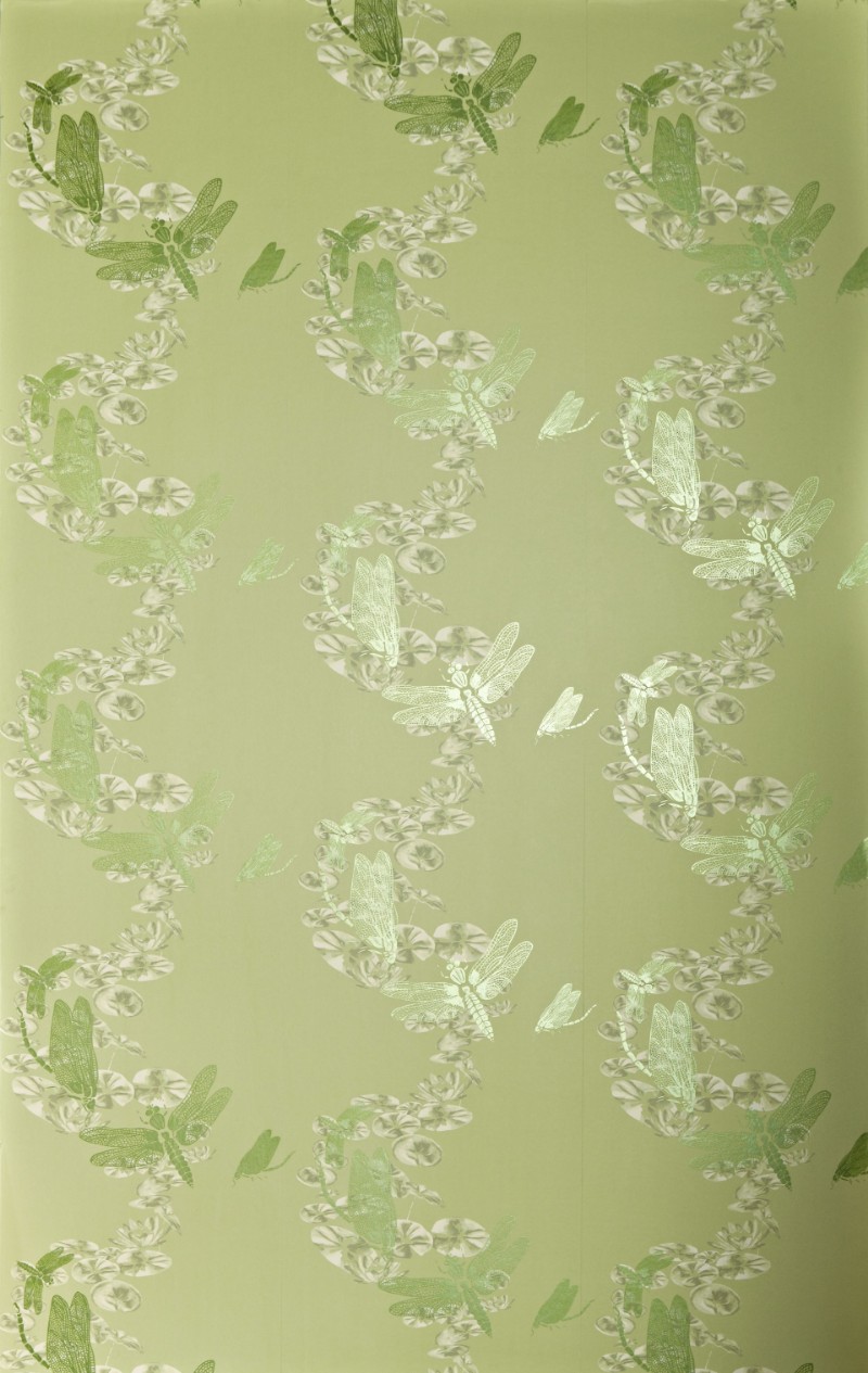 Picture of Dragonfly - Apple Green - BG0600202