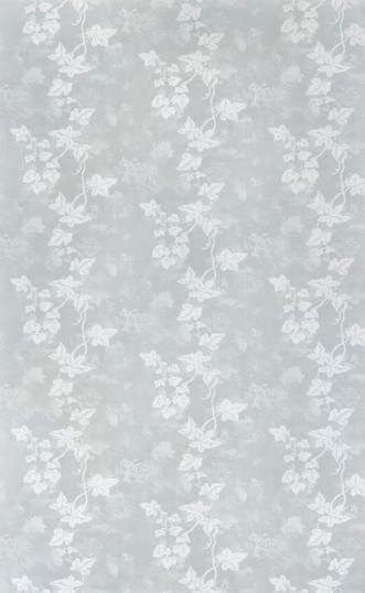 Image de Ivy - Aged Grey - BG1700102