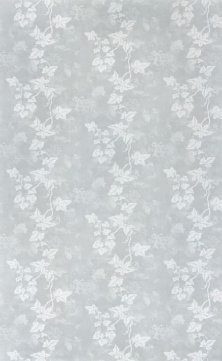 Image de Ivy - Aged Grey - BG1700102