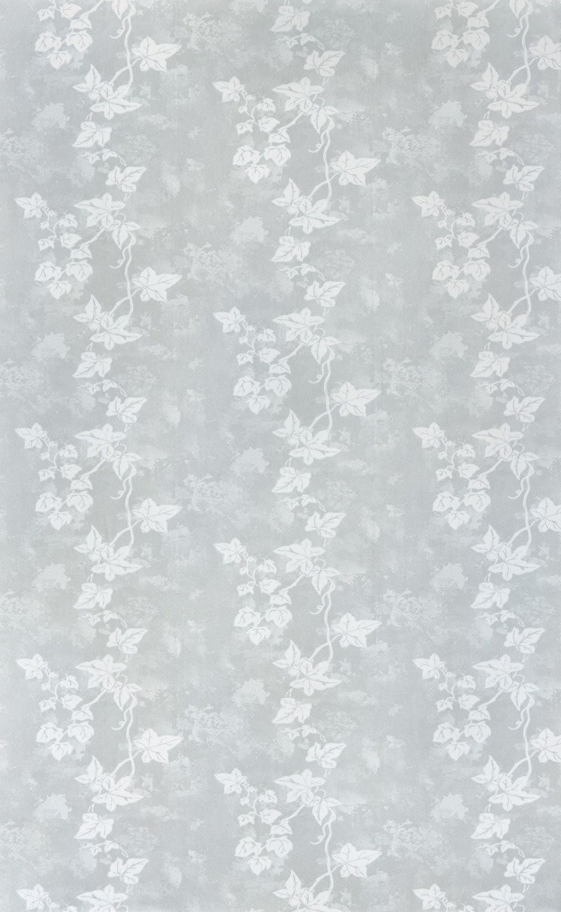 Picture of Ivy - Aged Grey - BG1700102