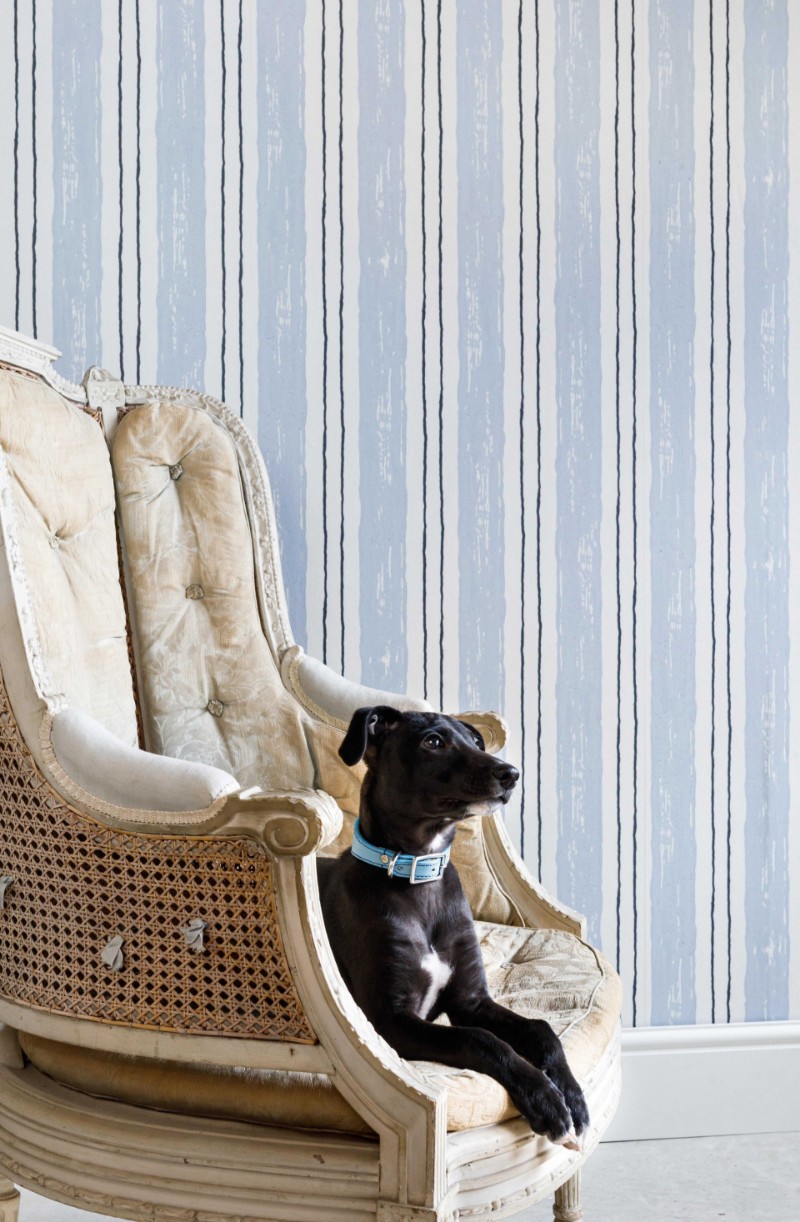 Picture of Painters Stripe - Blue - BG2500202