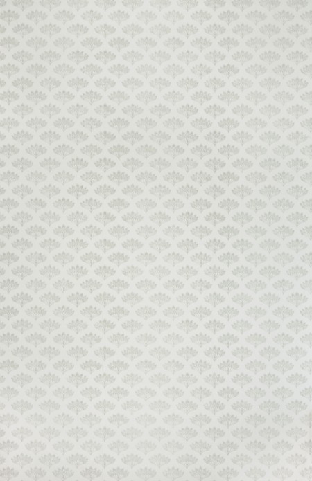 Image de Peacock - Grey - BG1300102