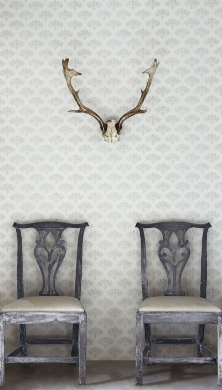 Image de Peacock - Grey - BG1300102