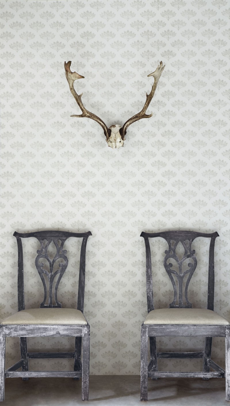 Picture of Peacock - Grey - BG1300102