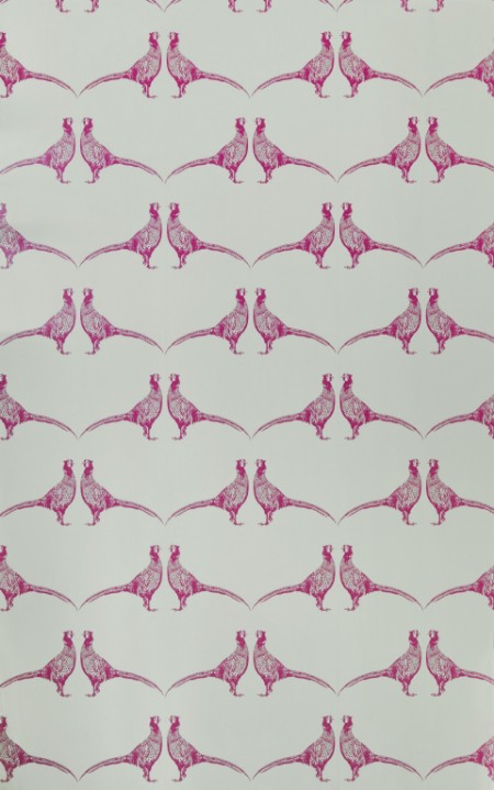 Image de Pheasant  - Pink - BG1500102