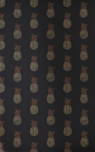 Picture of Pineapple - Charcoal - BG1200202