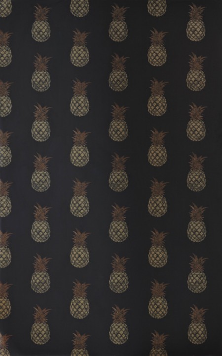 Image de Pineapple - Charcoal - BG1200202