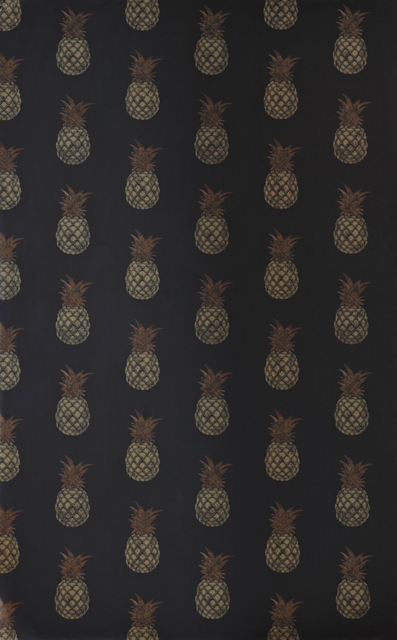 Picture of Pineapple - Charcoal - BG1200202