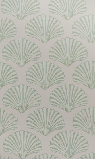 Picture of Scallop Shell - Plaster/Green - BG2100102
