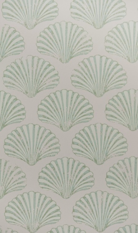 Image de Scallop Shell - Plaster/Green - BG2100102