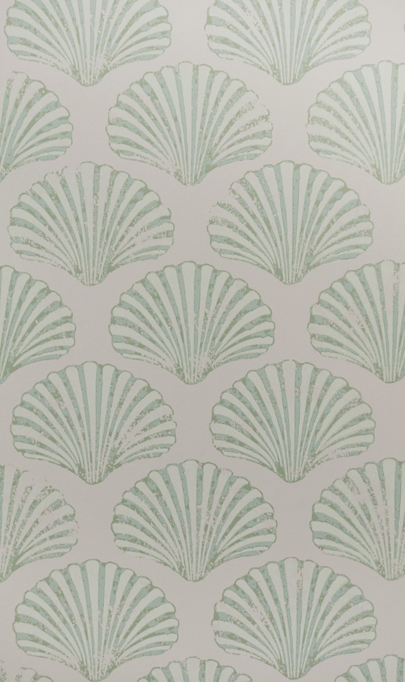 Picture of Scallop Shell - Plaster/Green - BG2100102