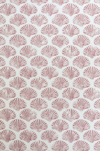 Picture of Scallop Shell - Red - BG2100101