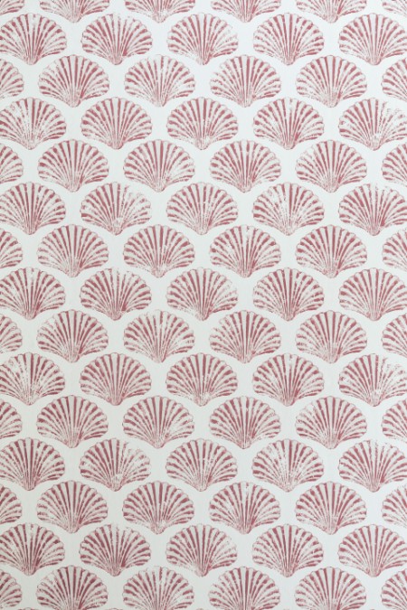 Image de Scallop Shell - Red - BG2100101