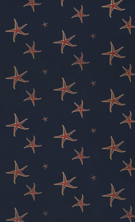 Image de Starfish - Navy/Sienne - BG2200101