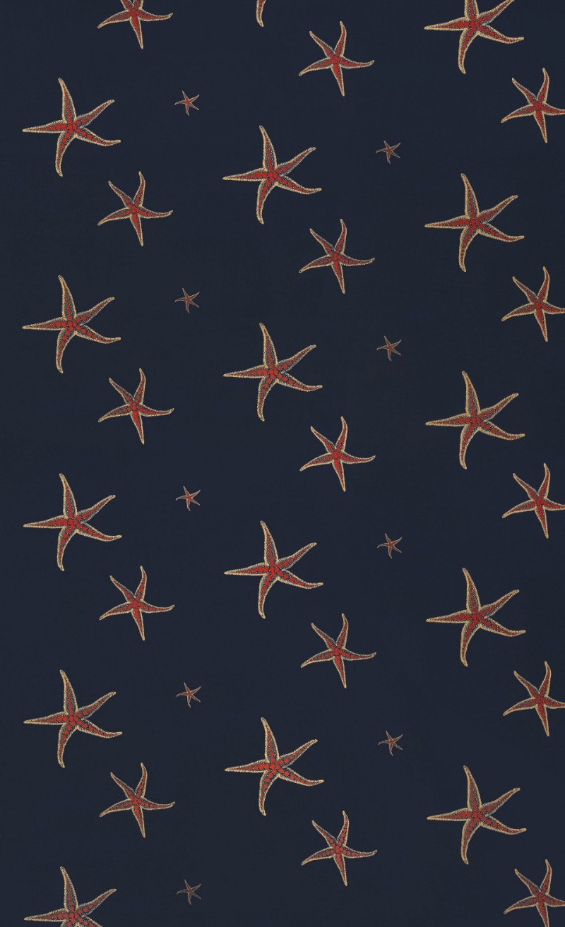 Image de Starfish - Navy/Sienne - BG2200101