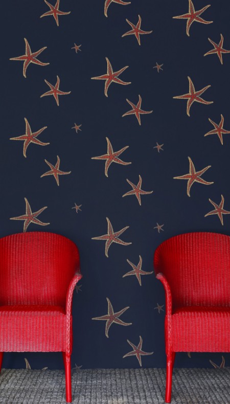 Image de Starfish - Navy/Sienne - BG2200101