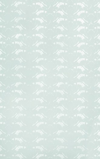 Image de Swan Lake - Duck egg  - BG2700202