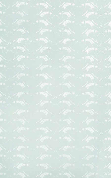 Image de Swan Lake - Duck egg  - BG2700202