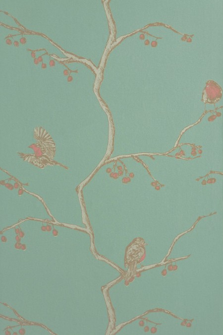 Image de The English Robin - Jade - BG0300101