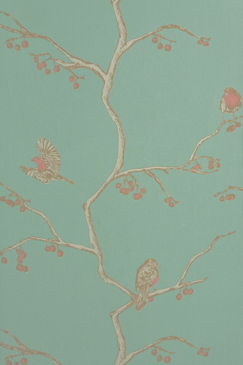 Picture of The English Robin - Jade - BG0300101