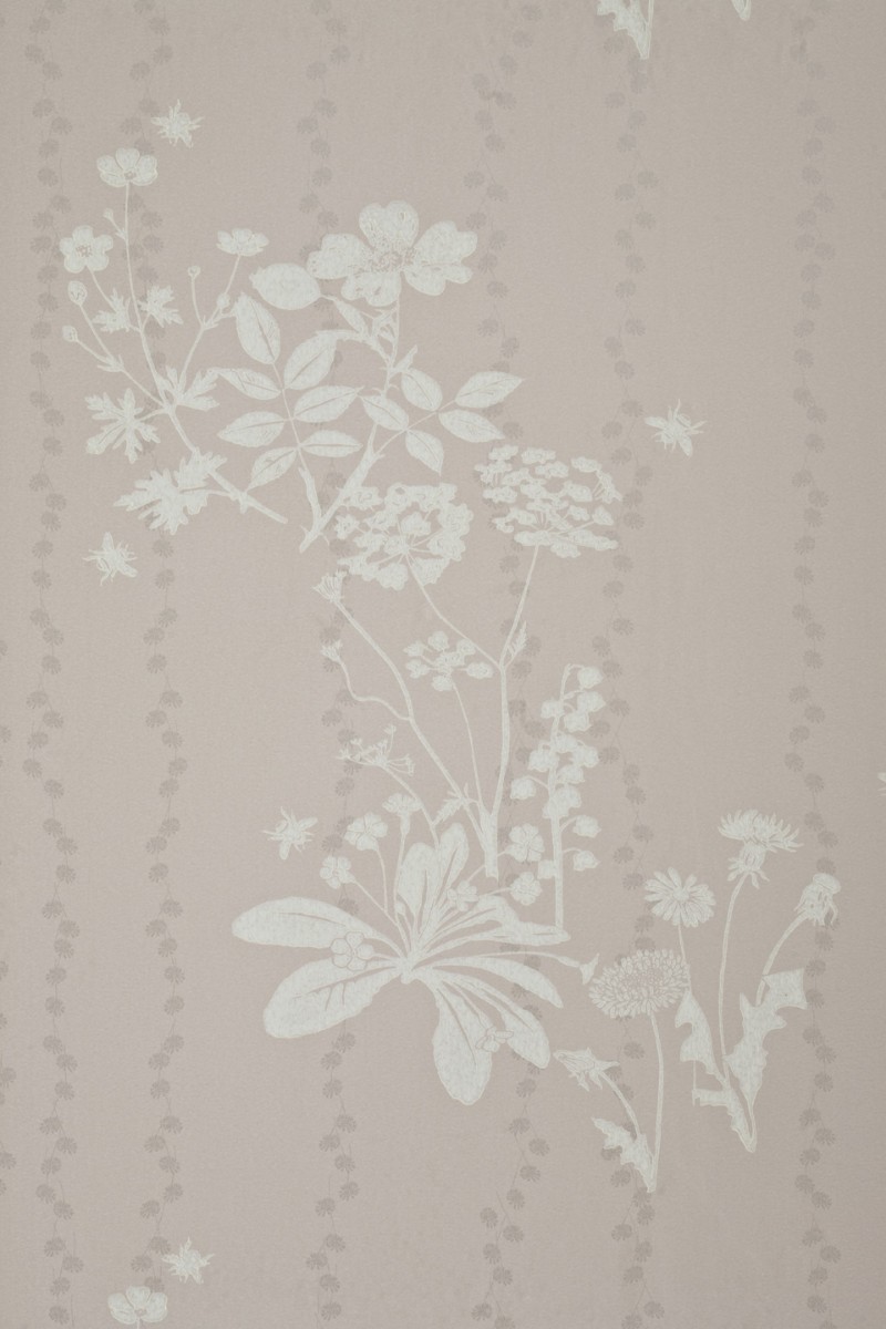 Picture of Wild Meadow - Plaster - BG0200101