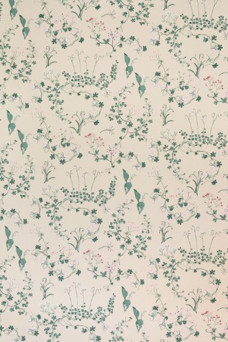 Picture of Willow Crossley x Barneby Gates -Botanica - Ivory - BG2400202