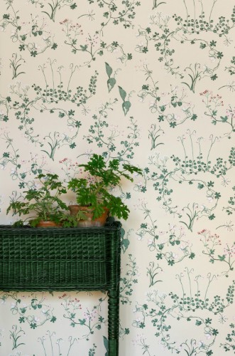 Picture of Willow Crossley x Barneby Gates -Botanica - Ivory - BG2400202