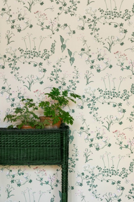 Image de Willow Crossley x Barneby Gates -Botanica - Ivory - BG2400202